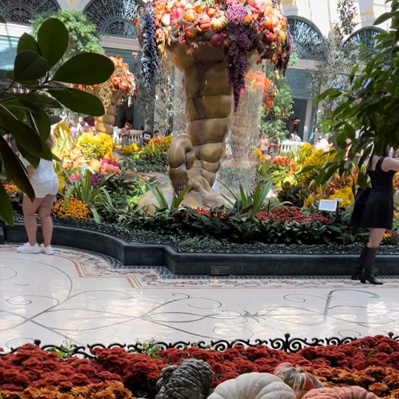 Las Vegas Aritzia - Picture 9 of 13